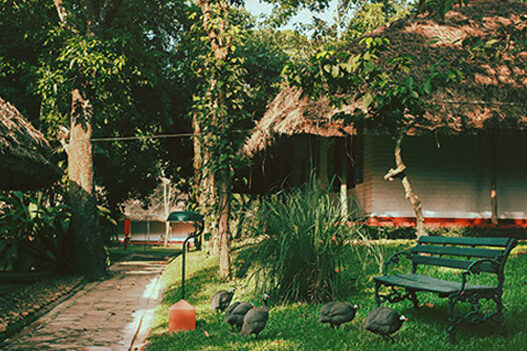 Cast iron chairs and benches at Spice Village, CGH Earth, Thekkady